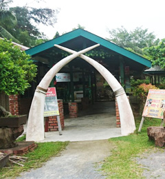 Miri Crocodile Farm cum Mini Zoo