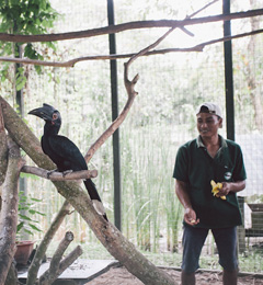 Miri Crocodile Farm cum Mini Zoo